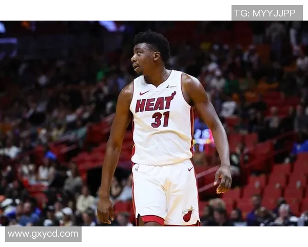 2013至2014赛季热火与步行者的激烈对决与历史意义分析